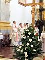 Uroczystość św. Pawła Pierwszego Pustelnika, Patriarchy Zakonu Paulinów