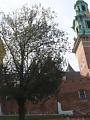 Na Wawelu odprawiono Mszę św. w intencji rodziców dzieci utraconych