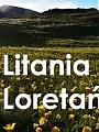 Litania Loretańska - DA św. Rocha w Poznaniu